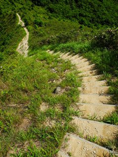 耶和华站在梯子以上,说:『我是耶和华你祖亚伯拉罕的神,也是以撒的神