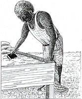 30.gif (21902 �r�`)