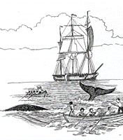 36.gif (19654 �r�`)